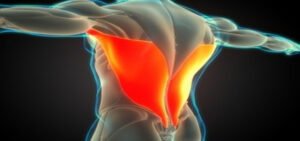 Bring up lagging body parts. One at a time